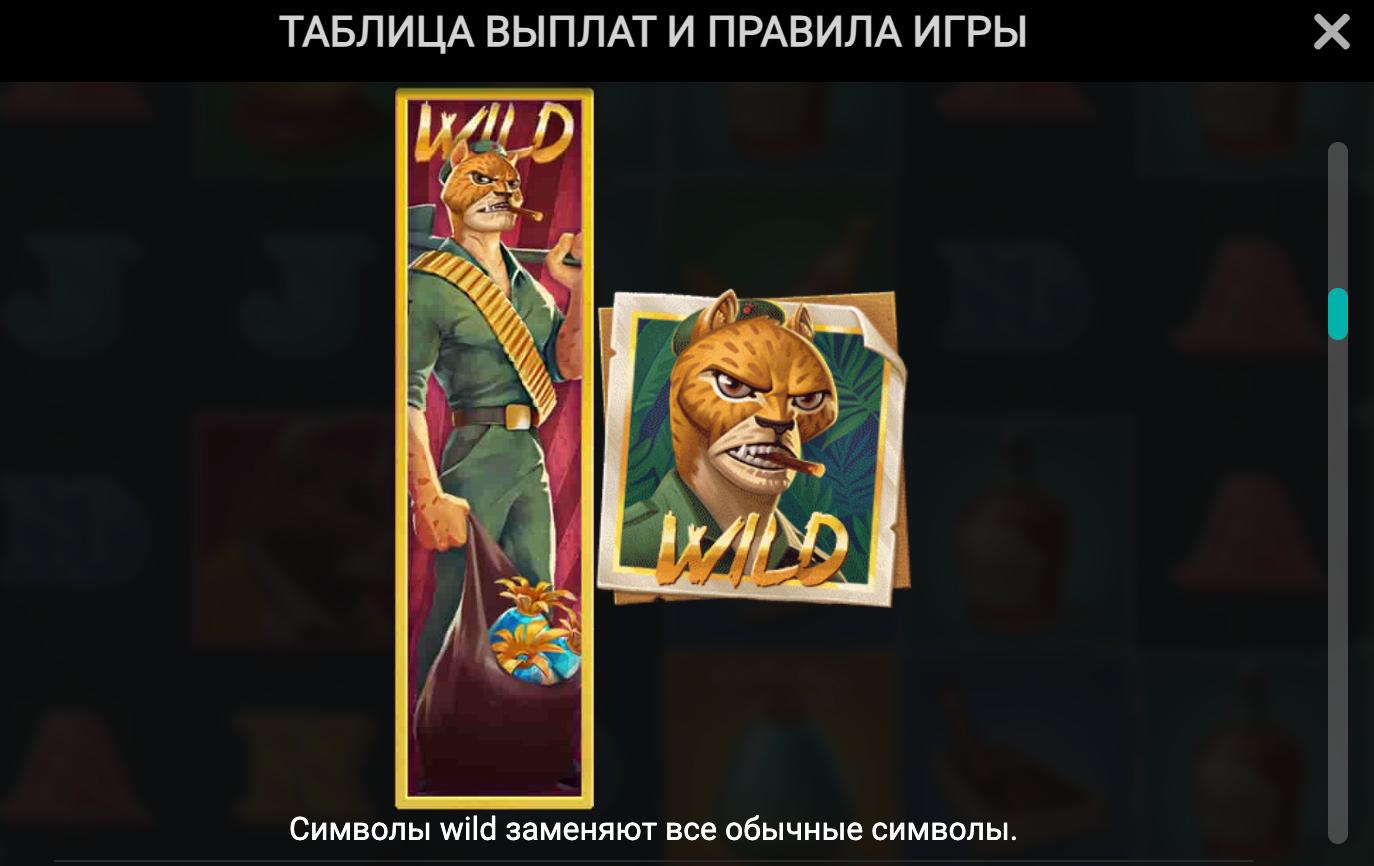 iron bank wild символ